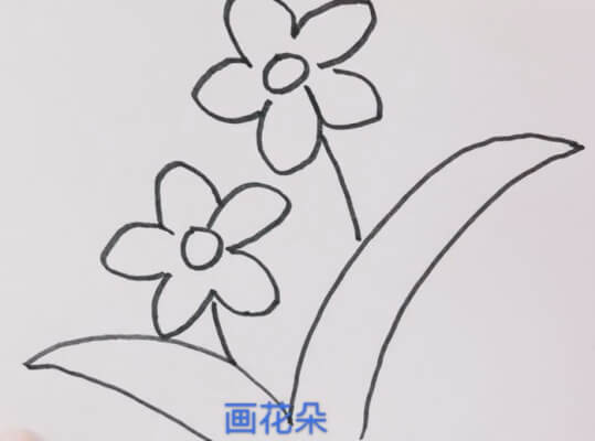 野花简笔画图片