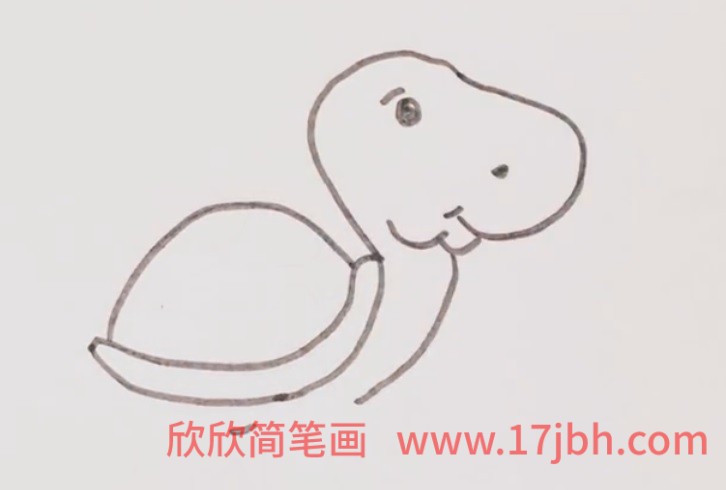 乌龟颜色简笔画