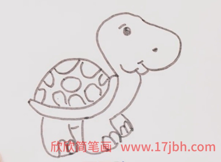 乌龟颜色简笔画