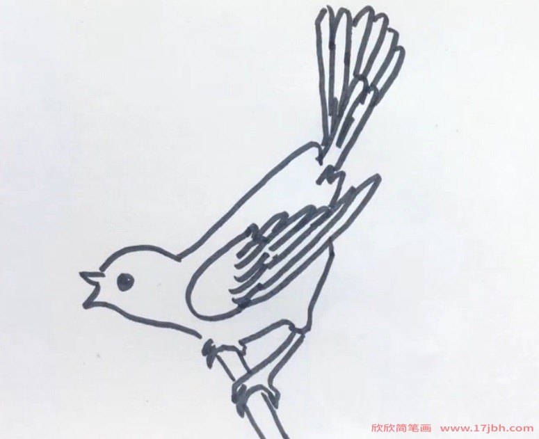 儿童杜鹃鸟简笔画