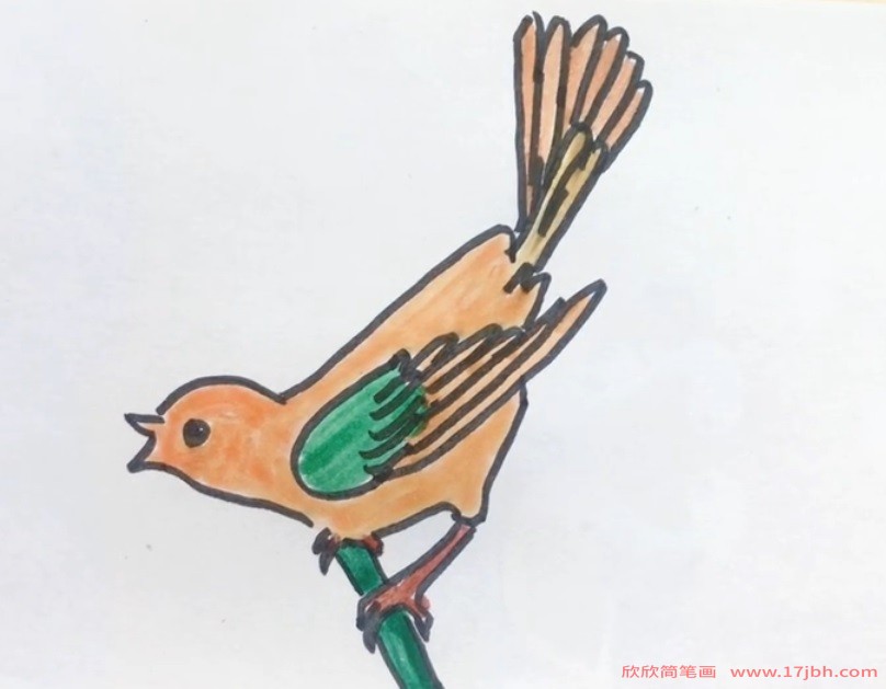 儿童杜鹃鸟简笔画