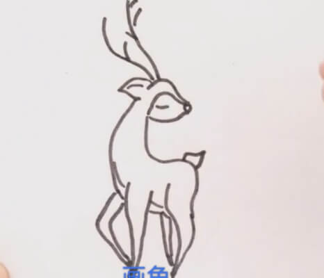 梅花鹿简笔画彩色
