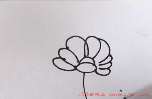 小野花简笔画