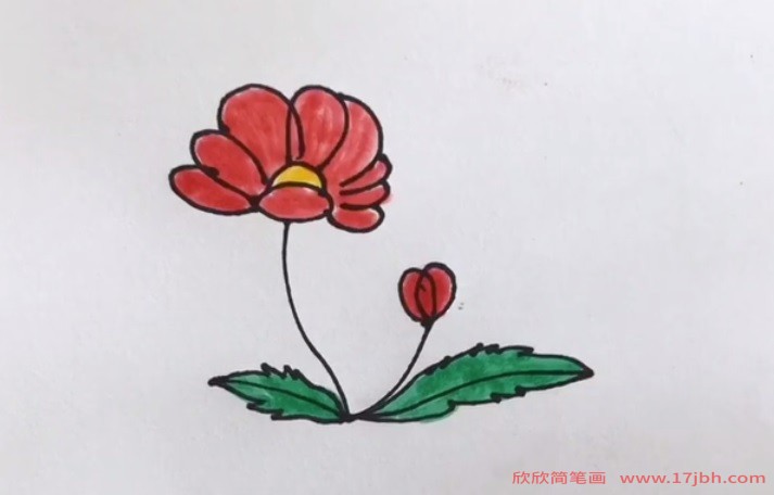 小野花简笔画