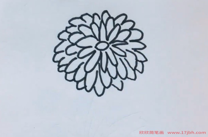 菊花的叶子简笔画