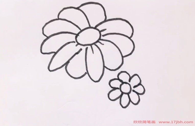 菊花儿童简笔画