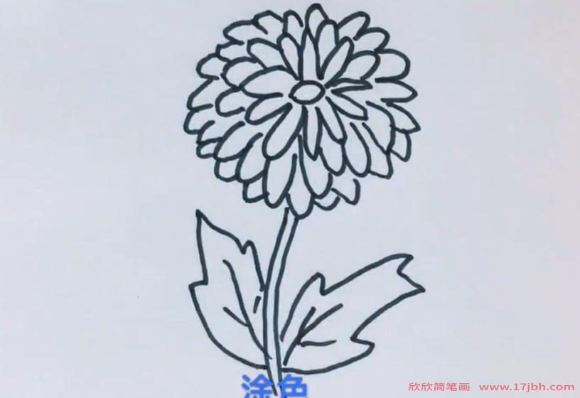 菊花的叶子简笔画