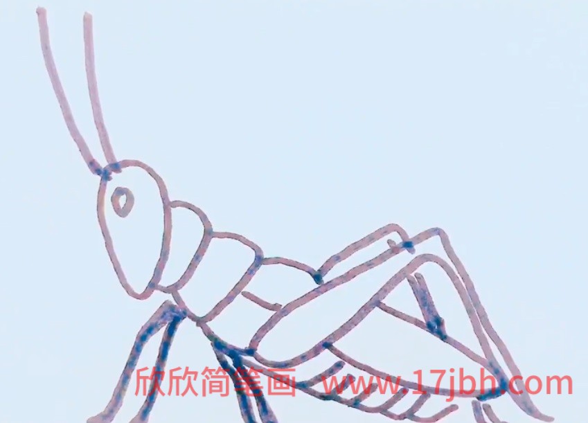 蚂蚱简笔画图片