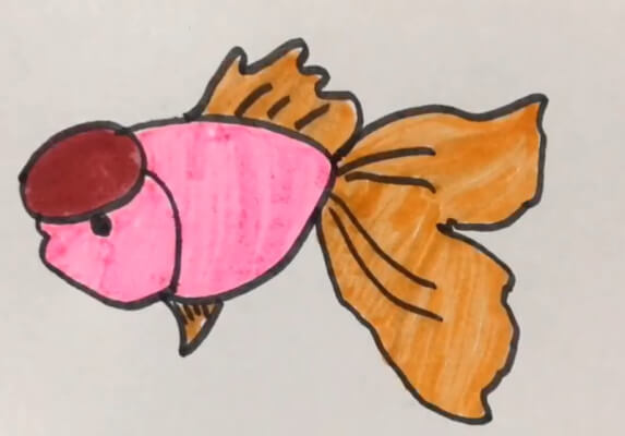 小金鱼简笔画彩色