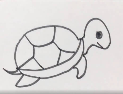 小乌龟简笔画彩色