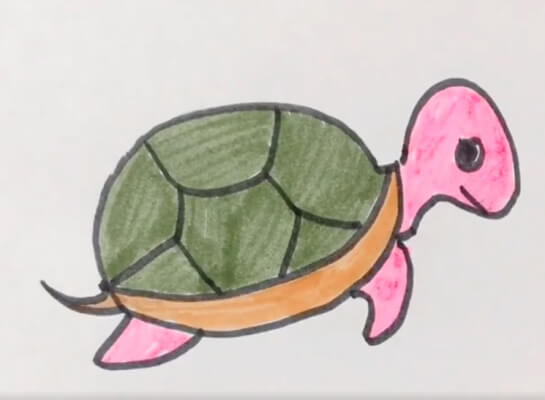小乌龟简笔画彩色