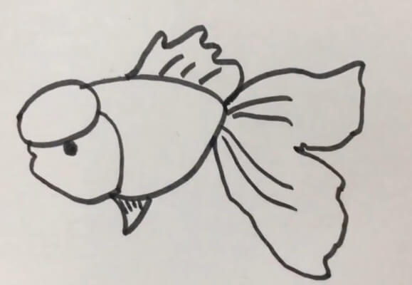 小金鱼简笔画彩色