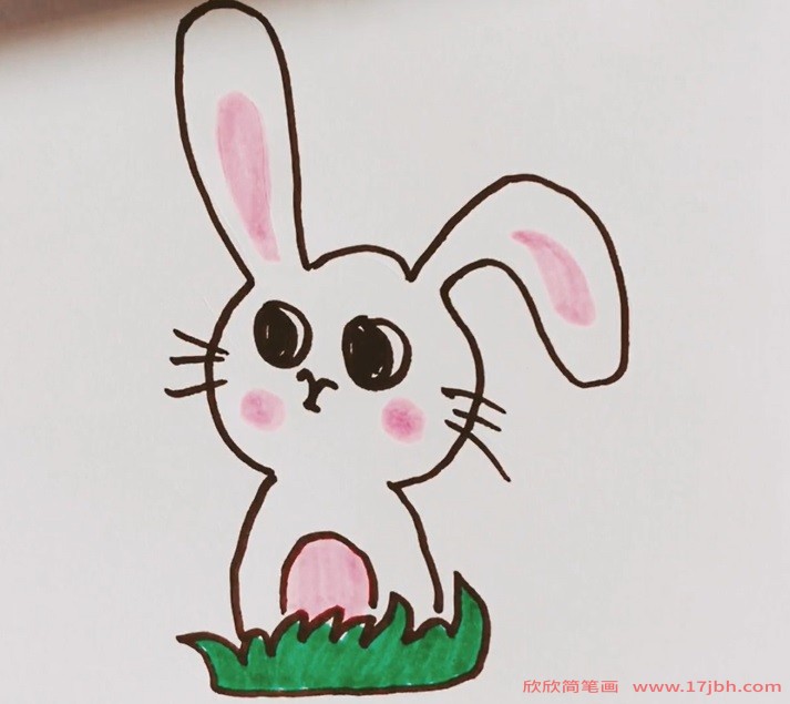 小兔子简笔画可爱