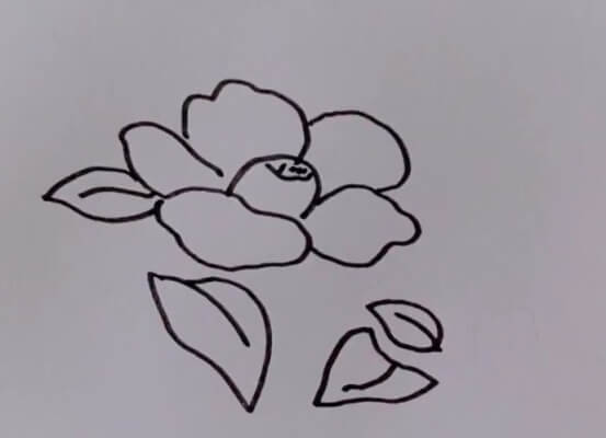 茶花简笔画