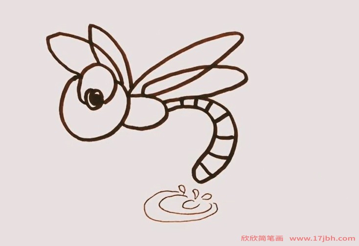 蜻蜓图片简笔画带颜色