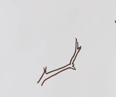 柿子树的简笔画