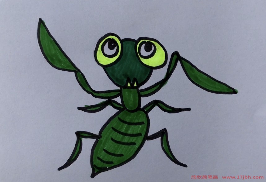 螳螂的简笔画图片