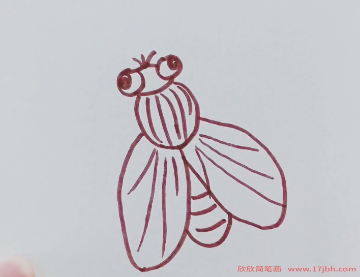 苍蝇简笔画怎么画