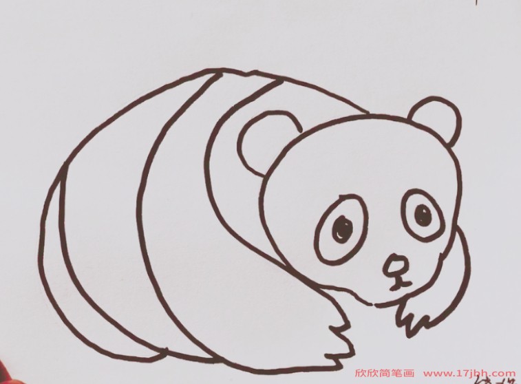 熊猫简笔画彩色