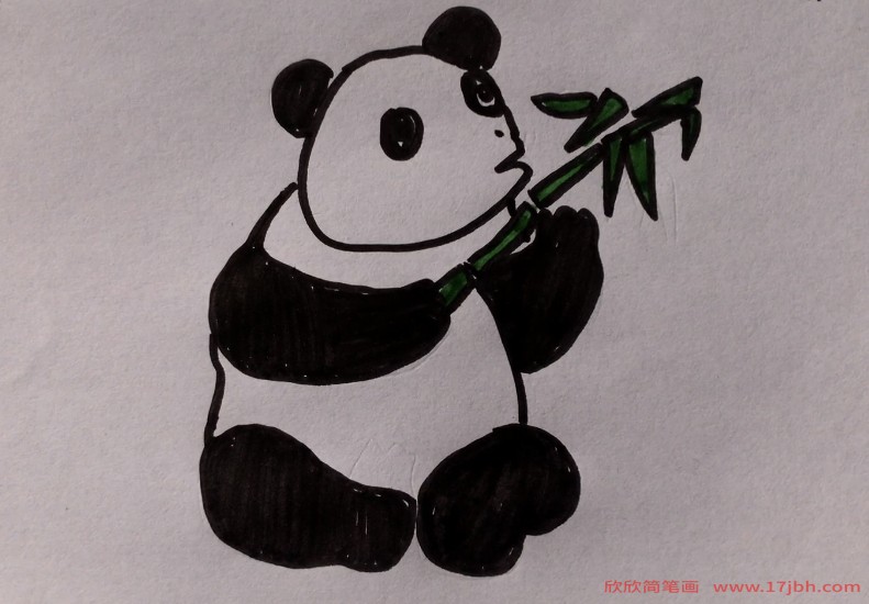 简笔画熊猫吃竹子图片