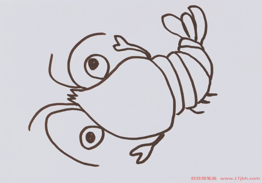 画虾简笔画