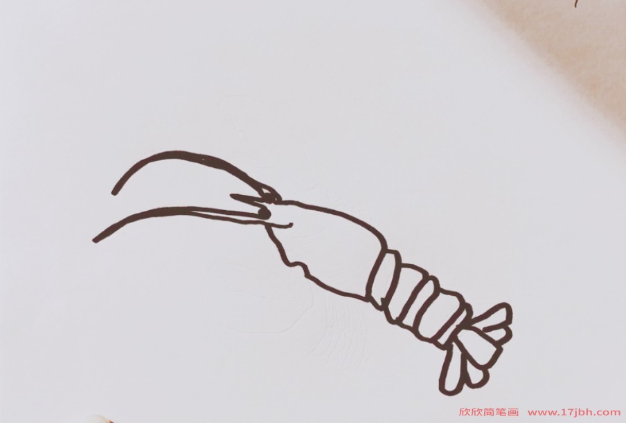 龙虾画法简笔画