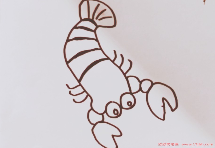 虾的图片简笔画