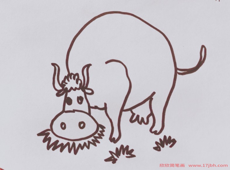 牛吃草的简笔画