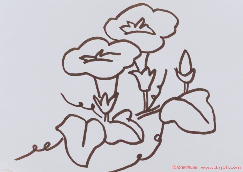 千牛花简笔画