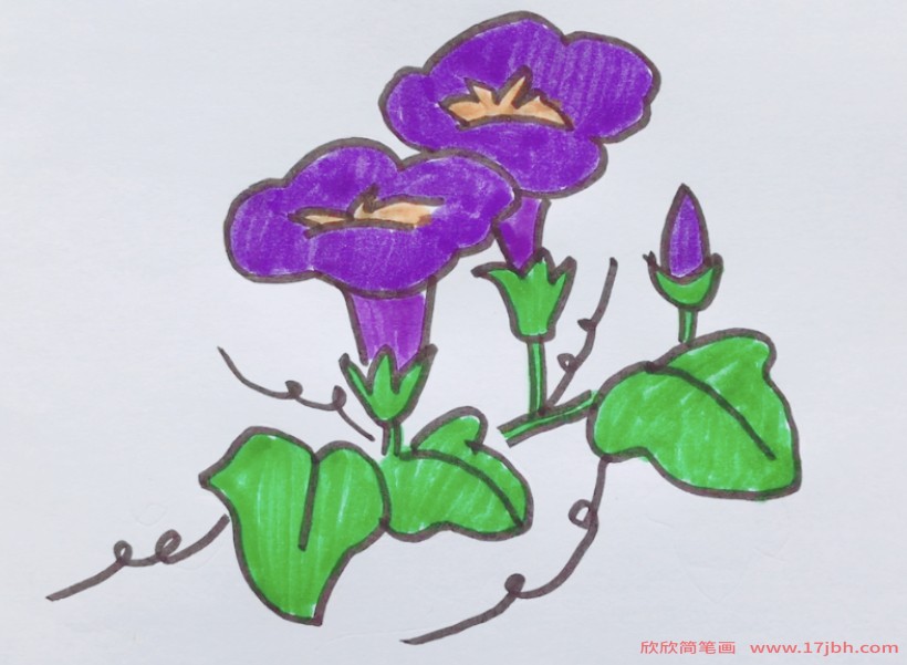 千牛花简笔画