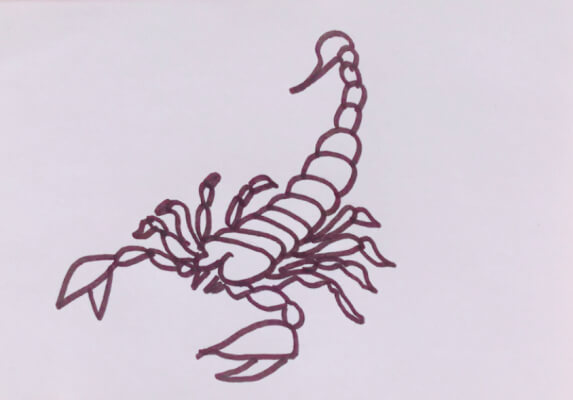 儿童简笔画蝎子