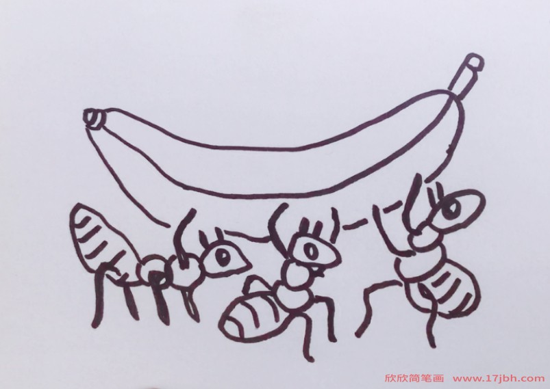 蚂蚁的一家简笔画