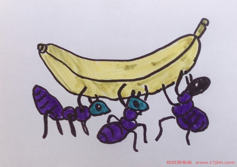 蚂蚁的一家简笔画