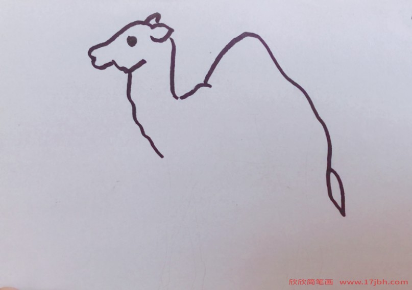 骆驼怎么画简笔画