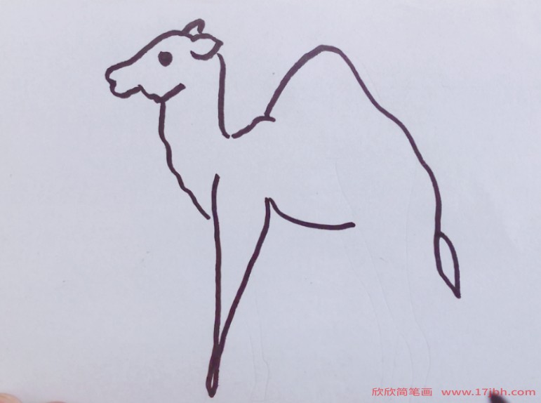 骆驼怎么画简笔画
