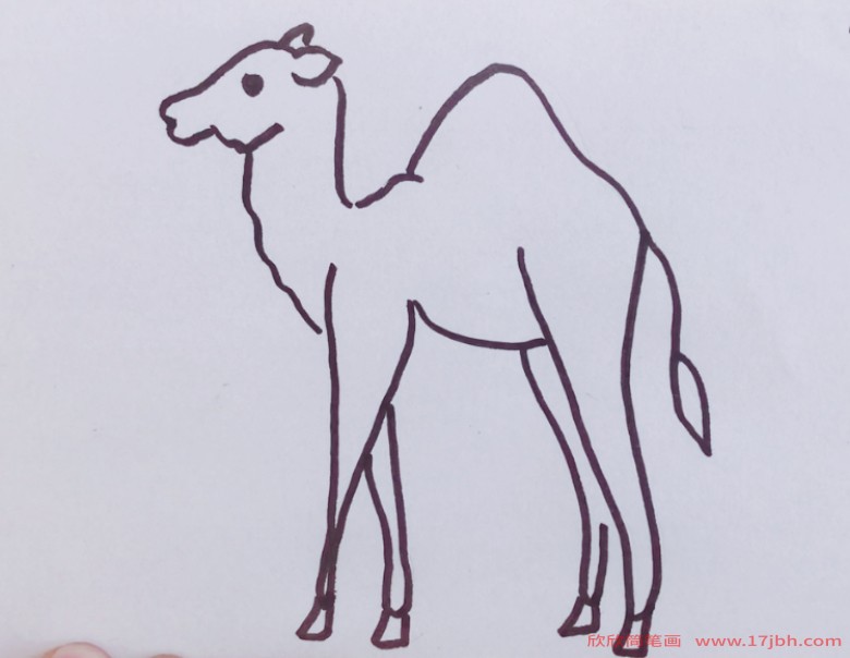 骆驼怎么画简笔画