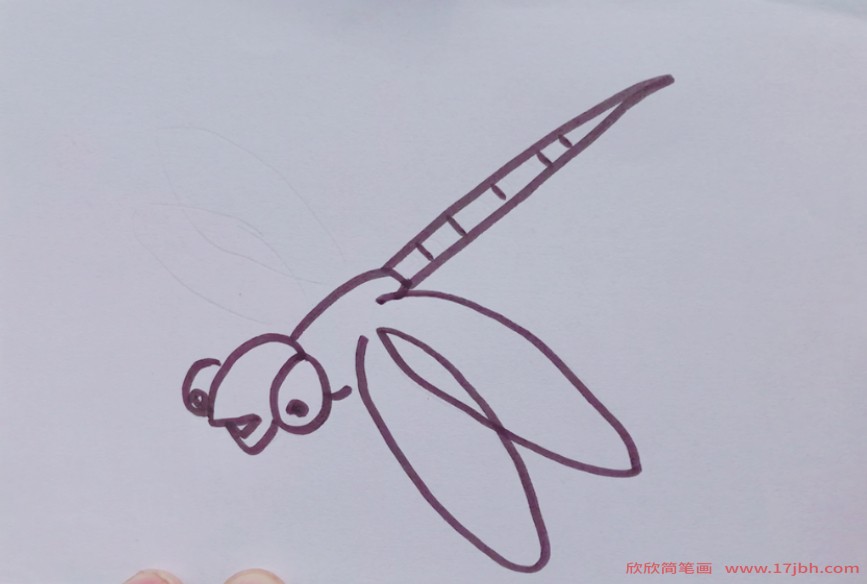 蜻蜓怎么画简笔画图片