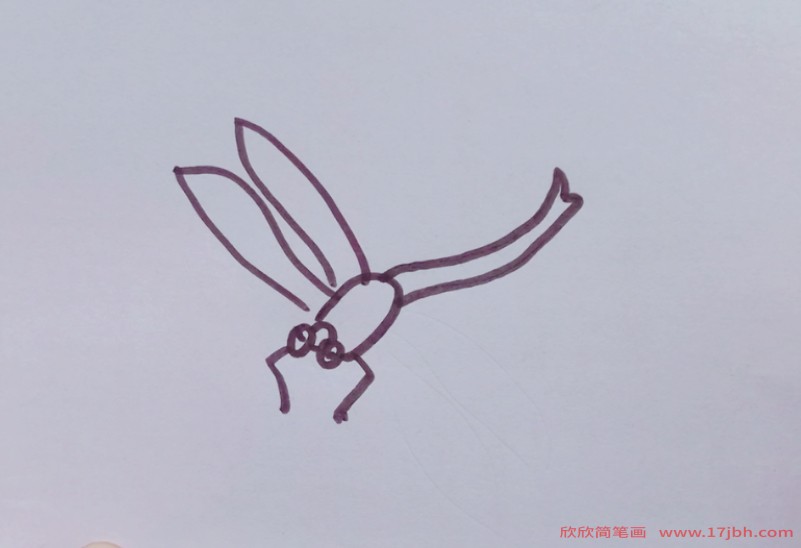 小蜻蜓图片简笔画彩色