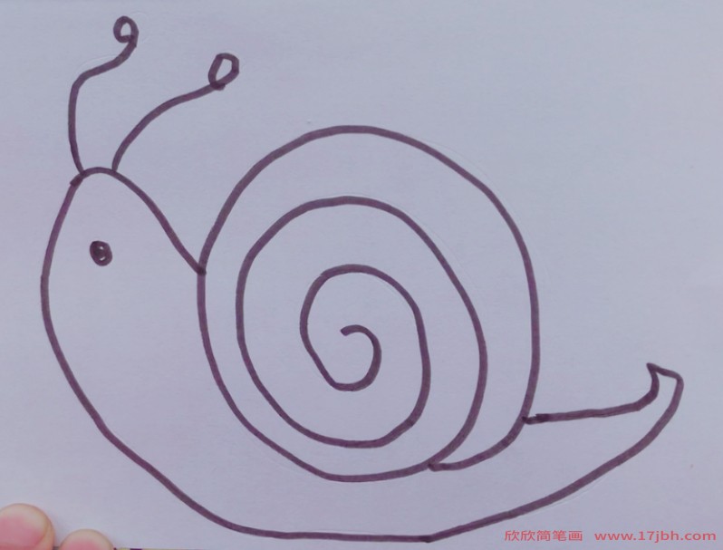 蜗牛彩色简笔画图片