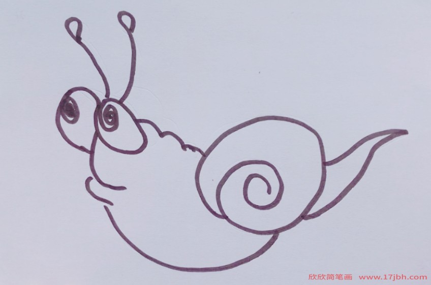 蜗牛简笔画的彩色配图