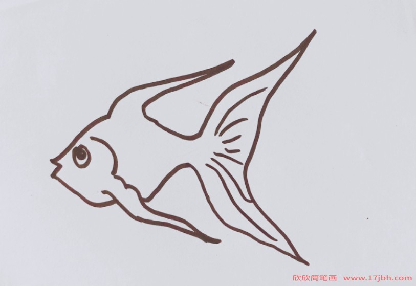 怎样画鱼的简笔画图片