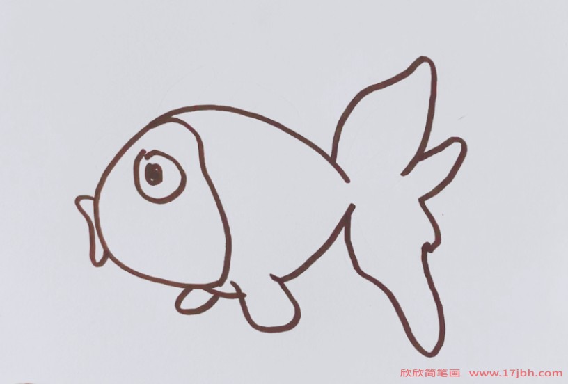 鱼简笔画带颜色
