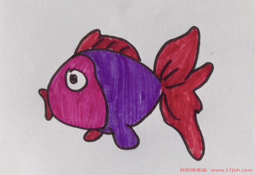 鱼简笔画带颜色