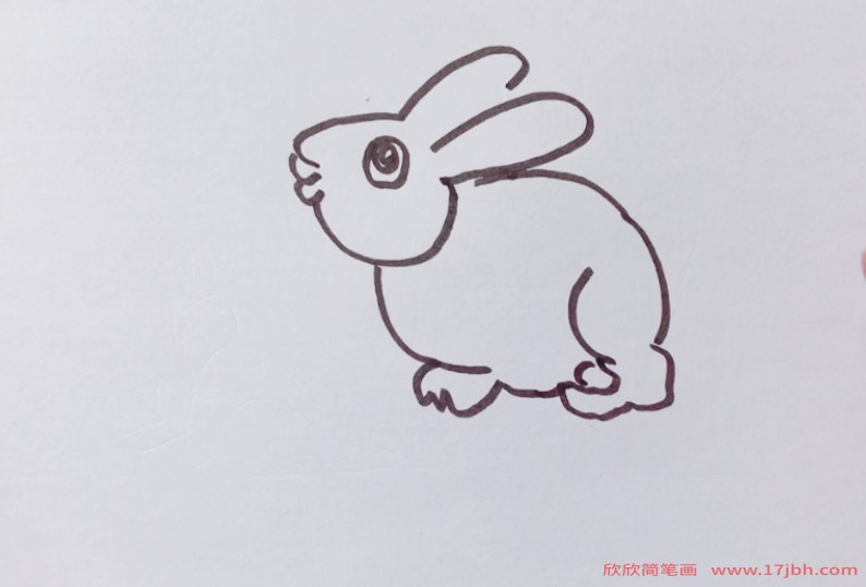 兔子吃胡萝卜简笔画