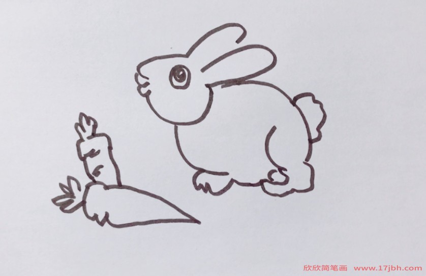 兔子吃胡萝卜简笔画