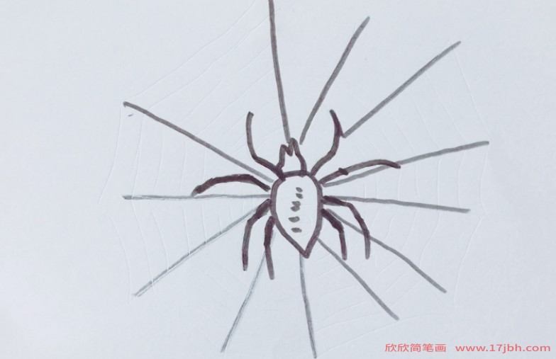 蜘蛛织网简笔画