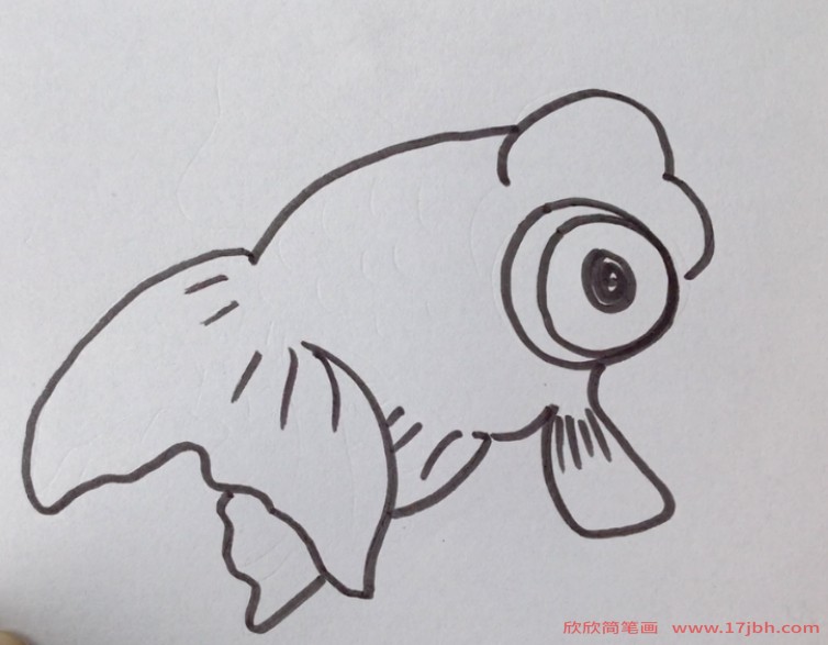 彩色鱼简笔画