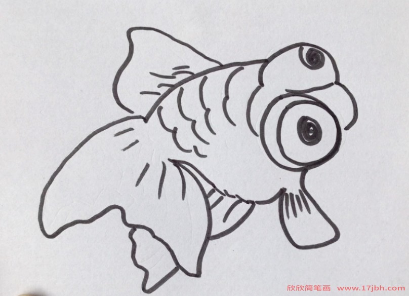 彩色鱼简笔画