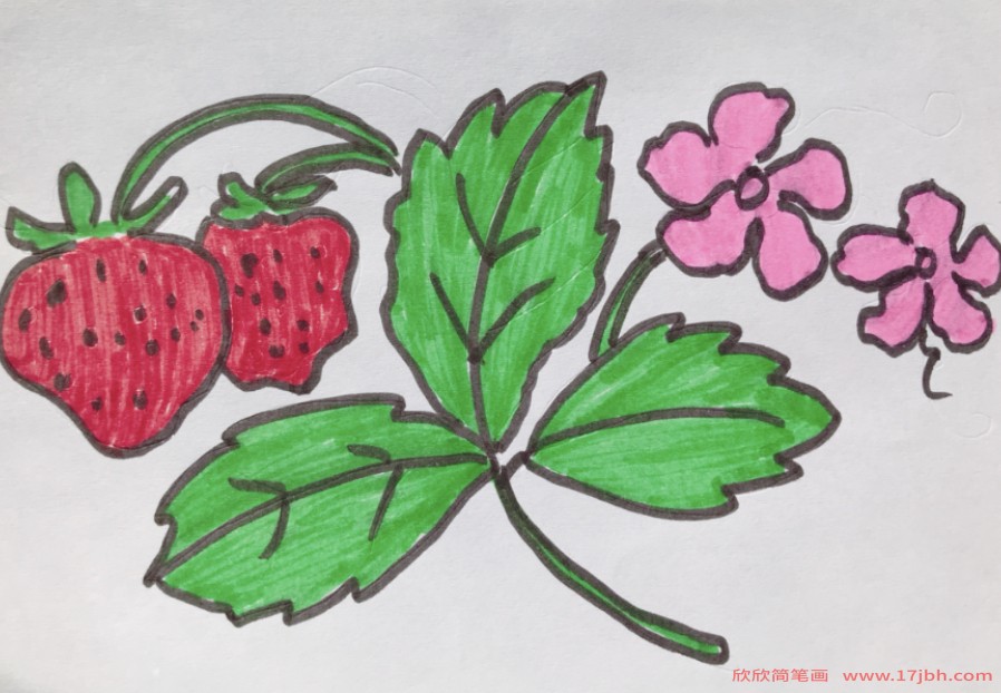 草莓怎么画简笔画