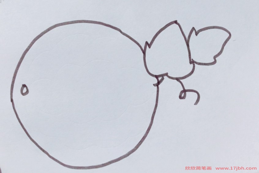 画西瓜的简笔画